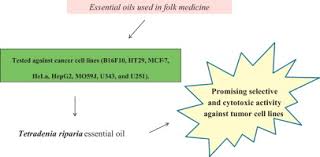 Cytotoxicity Screening Of Essential Oils In Cancer Cell