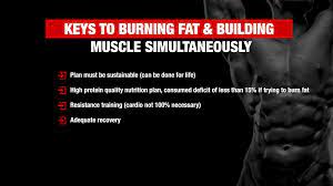 how to lose weight and gain muscle