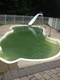 My Fiberglass Pool Has Algae And Rough