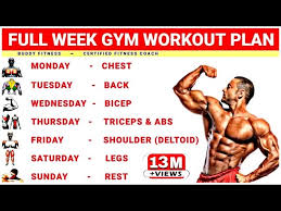 Full Week Gym Workout Plan Week