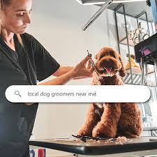 Browse pet groomer jobs and apply online. How To Appear On Searches For Local Dog Groomers Near Me 123pet Software