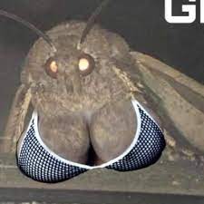 Big titty moth gf