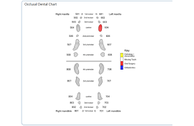 Screenshots Animal Dental Chart