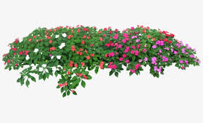11,052 free images of flowers and trees. Flowers And Trees Png Clipart Abstract Backgrounds Botany Branch Decoration Free Png Download