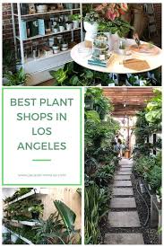 Best Plant S In Los Angeles