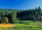 $50 Gift Certificate - Gold Mountain Golf Club
