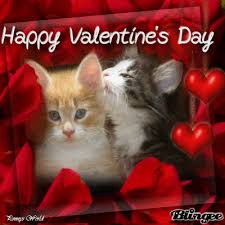 Valentine's day, also called saint valentine's day or the feast of saint valentine, is celebrated annually on february 14. Meowy Valentine S Day Kittens Photo 42637610 Fanpop