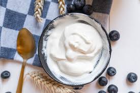 5 greek yogurt health benefits protein