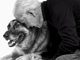 Joe & jill biden's dogs get their own twitter accounts we are dotus, woof!!! Joe Biden Is The Dog Lovers Candidate Says This Ad Full Of Former Presidents And Their Furry Friends Ad Age
