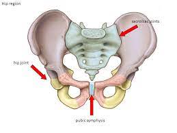 pelvic girdle pain in pregnancy