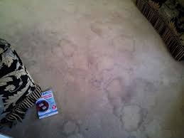 carpet cleaning tamworth