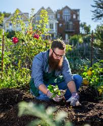 what is an urban garden and how to make