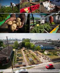 New Orleans Urban Farming And Food Security A Photo Essay