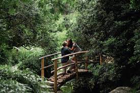 to propose at zilker botanical garden