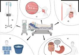 signa vitae journal of anesthesiology