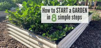 Gardening For Beginners How To Start A