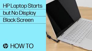 hp laptop starts but no display black