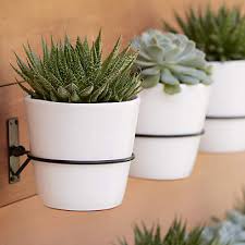 Wall Planter Hook Reviews Crate