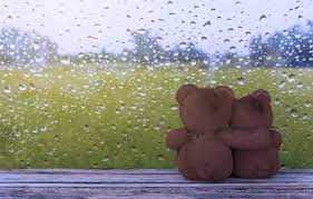 love, rain, bear, romantic, couple ...