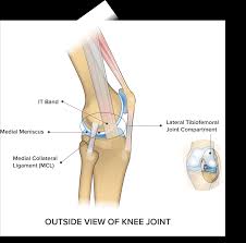 Anterior cruciate ligament injury wikipedia. Knee Pain On The Outside Of Your Joint Five Reasons Why Spring Loaded Technology