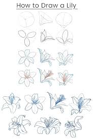 drawing flowers tips and techniques