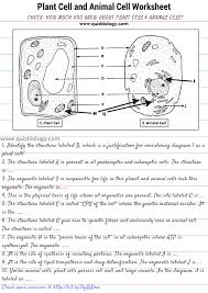 plant cell and animal cell diagram comparison worksheet a close plant cell and animal cell diagram comparison worksheet a close look into the amazing cell