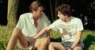 You Didn't Want All Of Armie Hammer's Nude And Gay Scene, Did You? -  Fleshbot