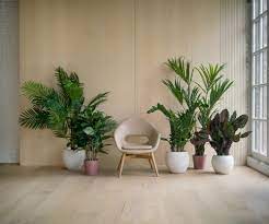 Indoor Garden Design Ideas Indoor