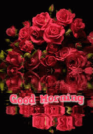 good morning rose gifs gifdb com