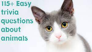 Animal trivia questions and answers. 119 Easy Trivia Questions About Animals