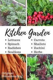 Plant A Kitchen Garden Growing Guide