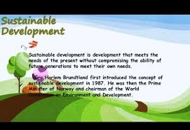 project on sustainable development for
