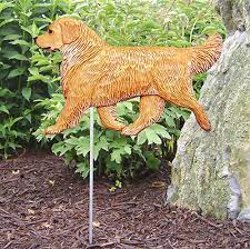 golden retriever outdoor garden dog