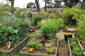 Urban Gardens Are Good For Ecosystems