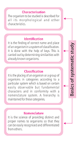 Taxonomy Chart Drgp Biology