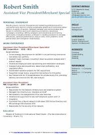 Write your resume by including your work experience, skills, resume keywords and more. Assistant Vice President Resume Samples Qwikresume