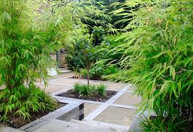 Small Garden Design In Maidstone