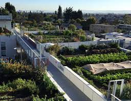 Green Roofs Soil Science Society Of