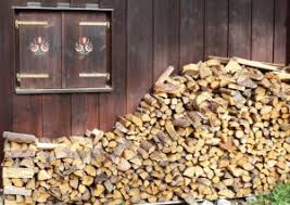 the best kinds of wood to burn this winter