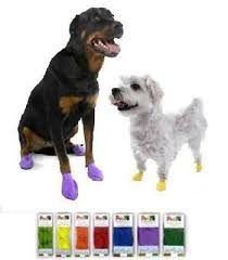 Pawz Dog Boots Booties 12 Pack Disposable Reusable