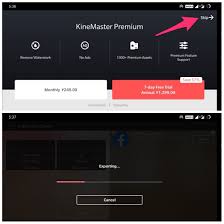 kinemaster review is it the best