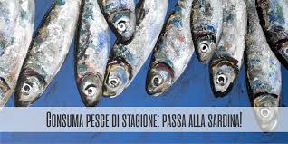 Risultati immagini per sardine