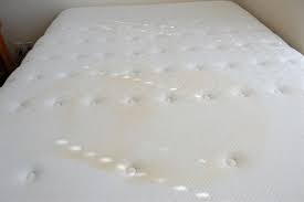 How To Clean Any Mattress The Ultimate