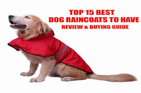 Top 15 Best Dog Raincoats To Have In 2019 Reviews And Buying