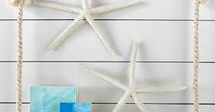 Large Starfish Sand Dollar For Wall Decor