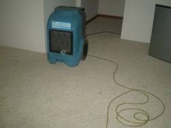 carpet floors water extraction