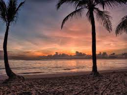 tropical beach sunset royalty free