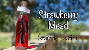 strawberry mead 2 0 from start to