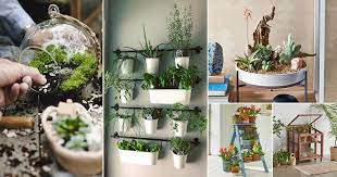 18 Really Fun Indoor Garden Ideas