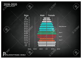 Population And Demography Illustration Of Population Pyramids